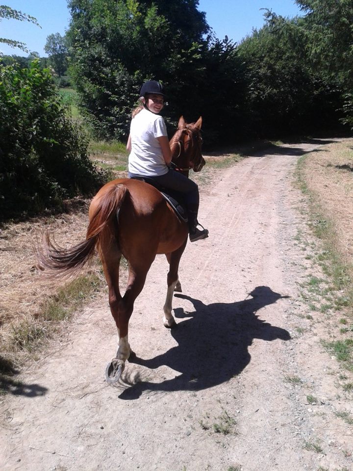 balade cheval 22